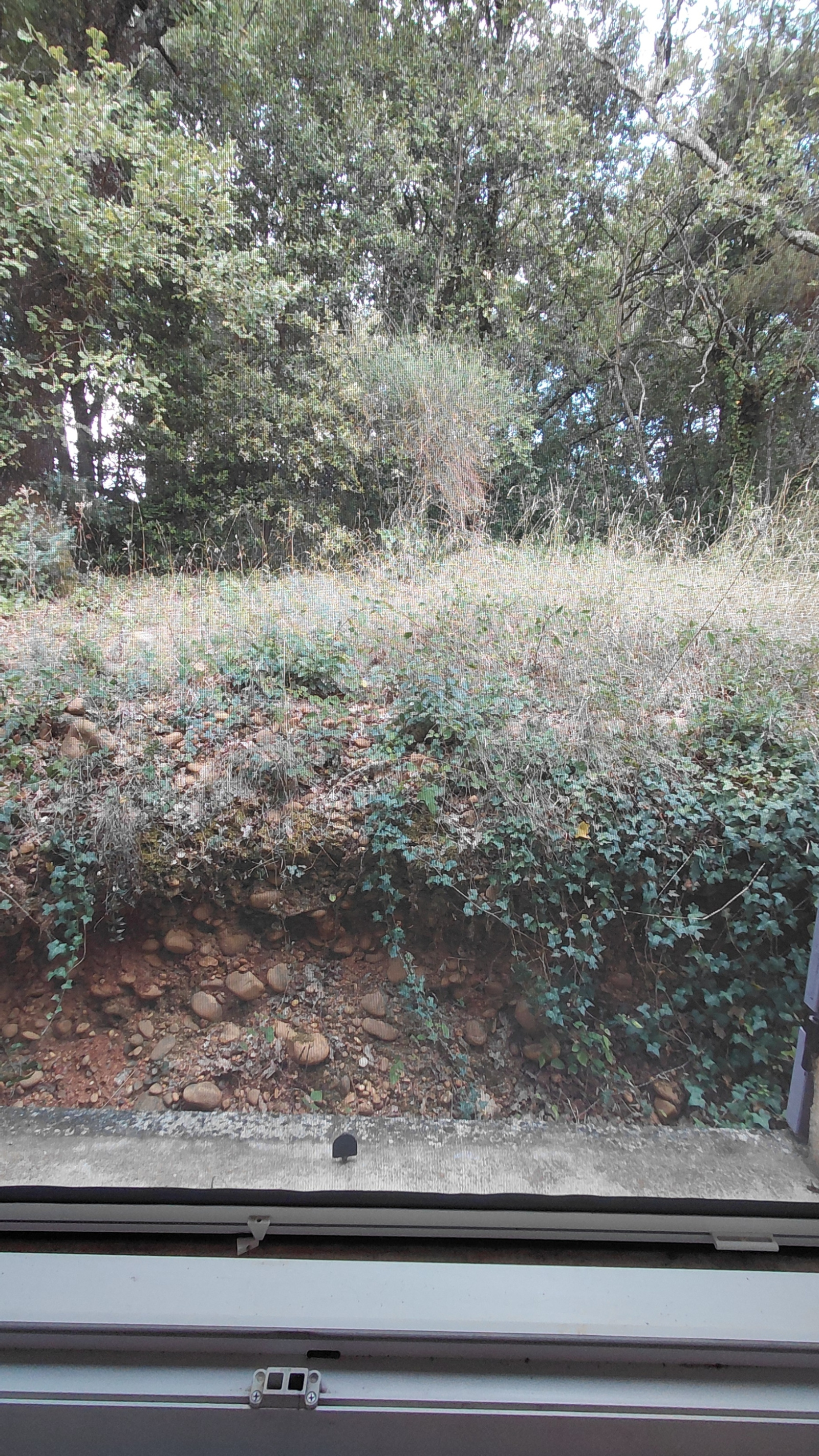 Image_, Villa, Saint-Marcel-d'Ardèche, ref :607