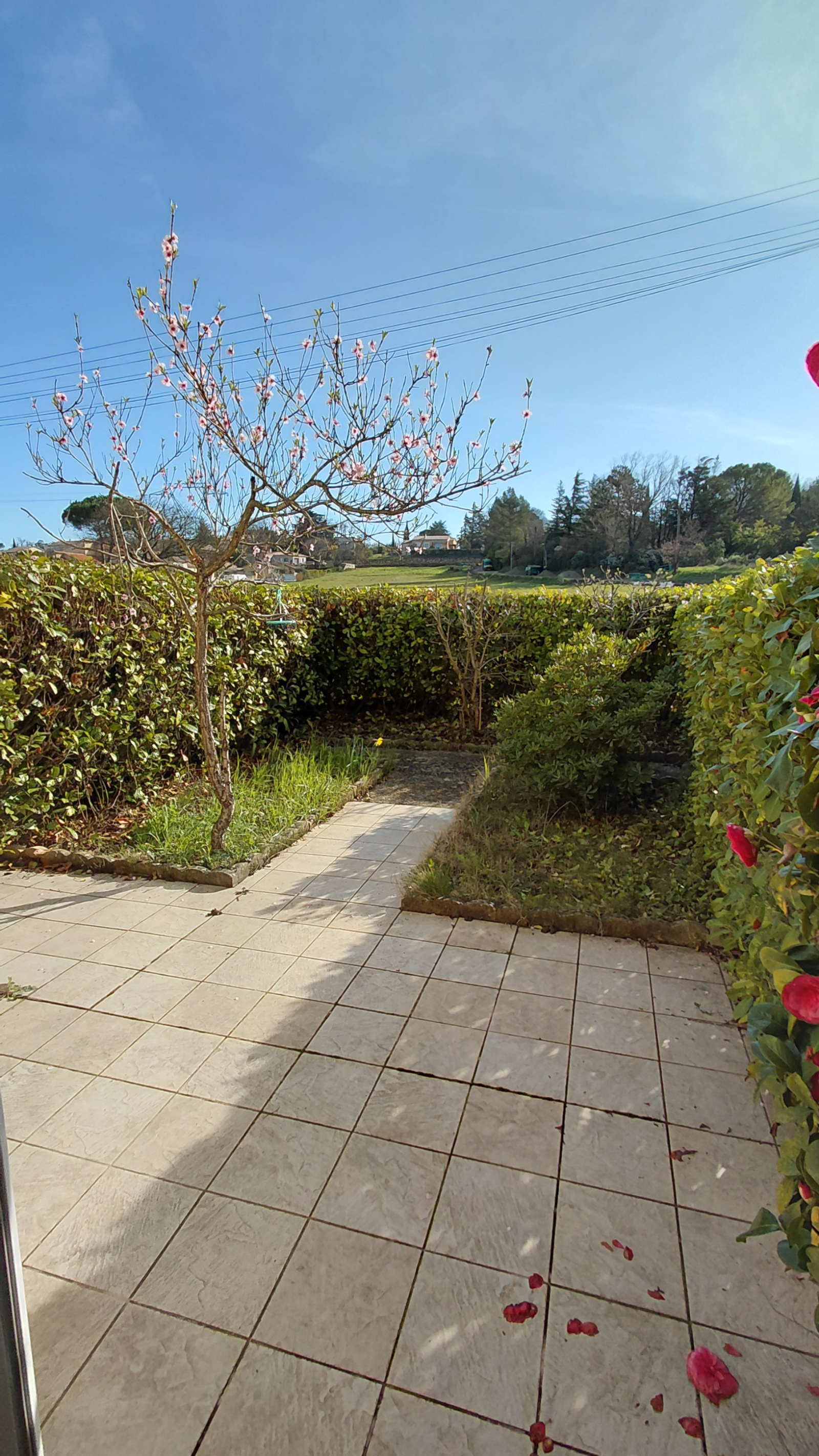 Image_, Maison, Châteauneuf-du-Rhône, ref :568