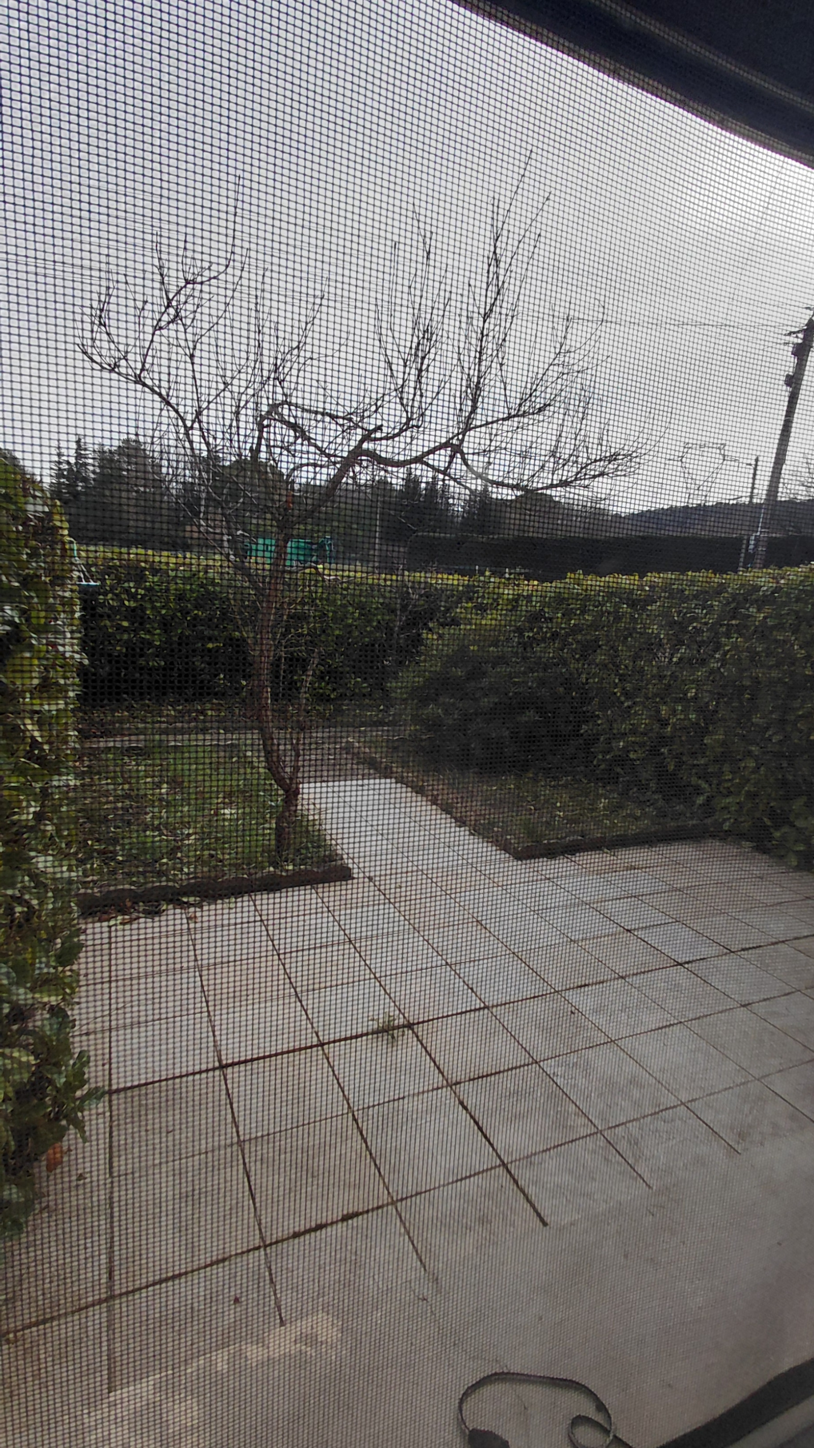 Image_, Maison, Châteauneuf-du-Rhône, ref :568