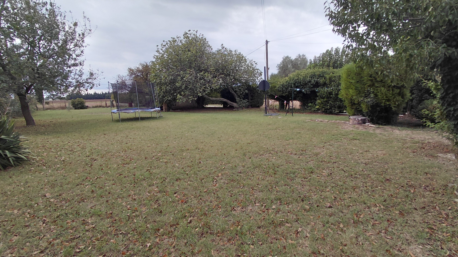 Image_, Ferme, Pierrelatte, ref :538