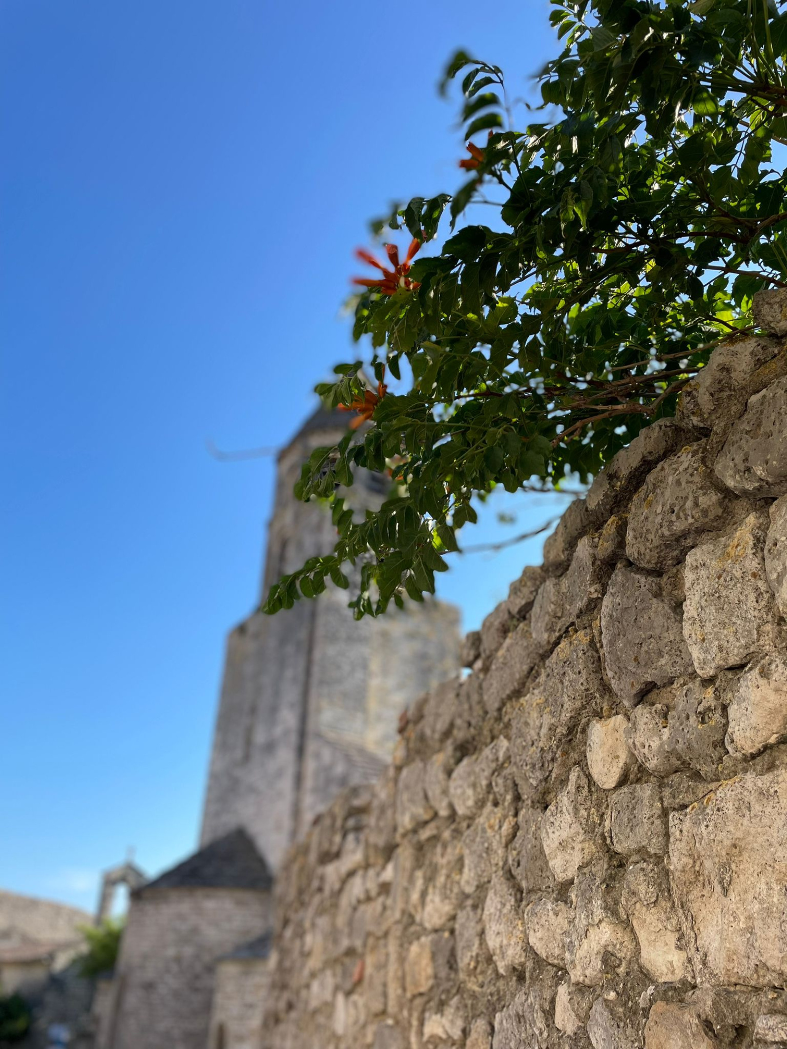 Image_, Maison de village, La Garde-Adhémar, ref :521