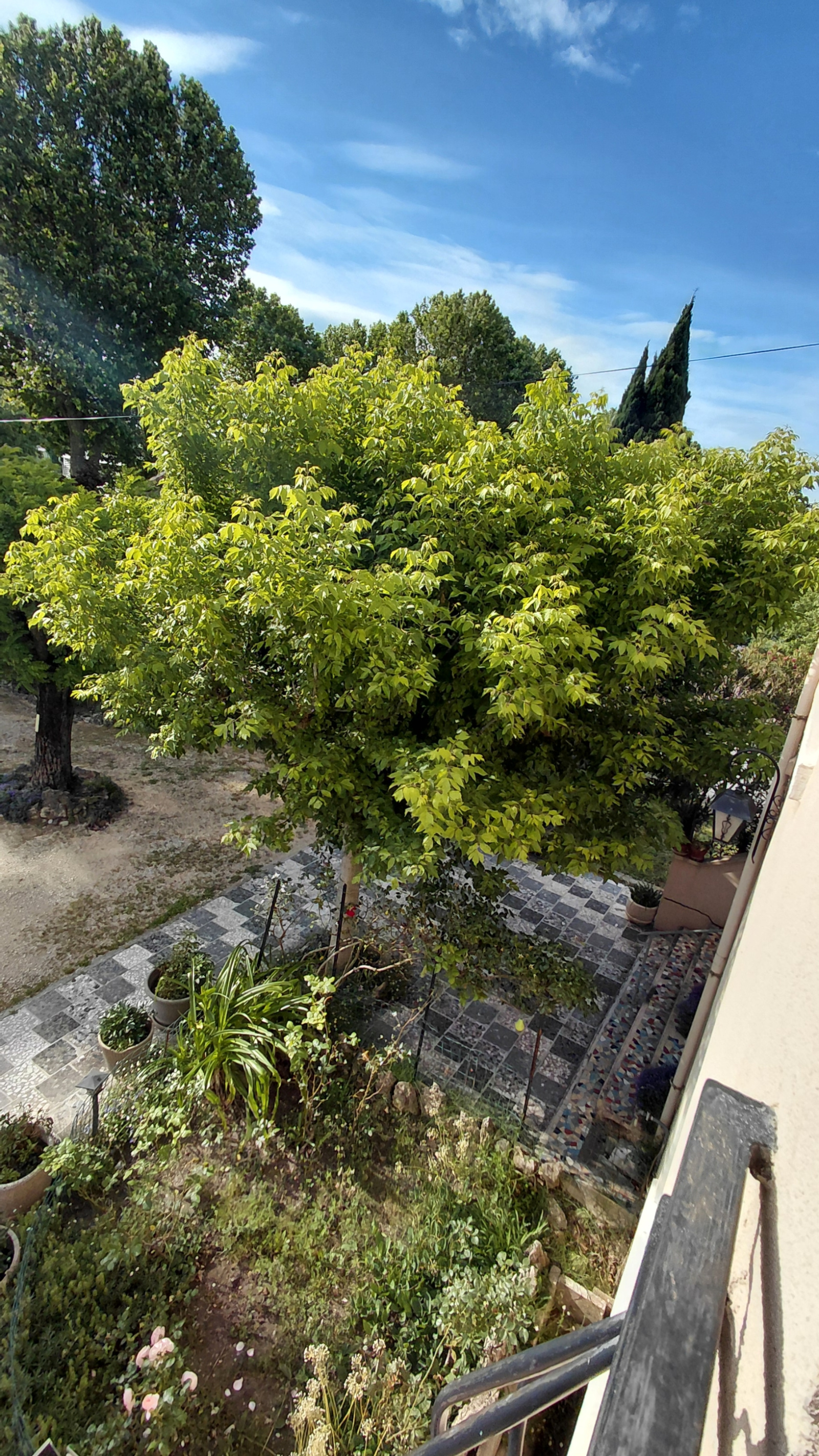 Image_, Maison, Pierrelatte, ref :581