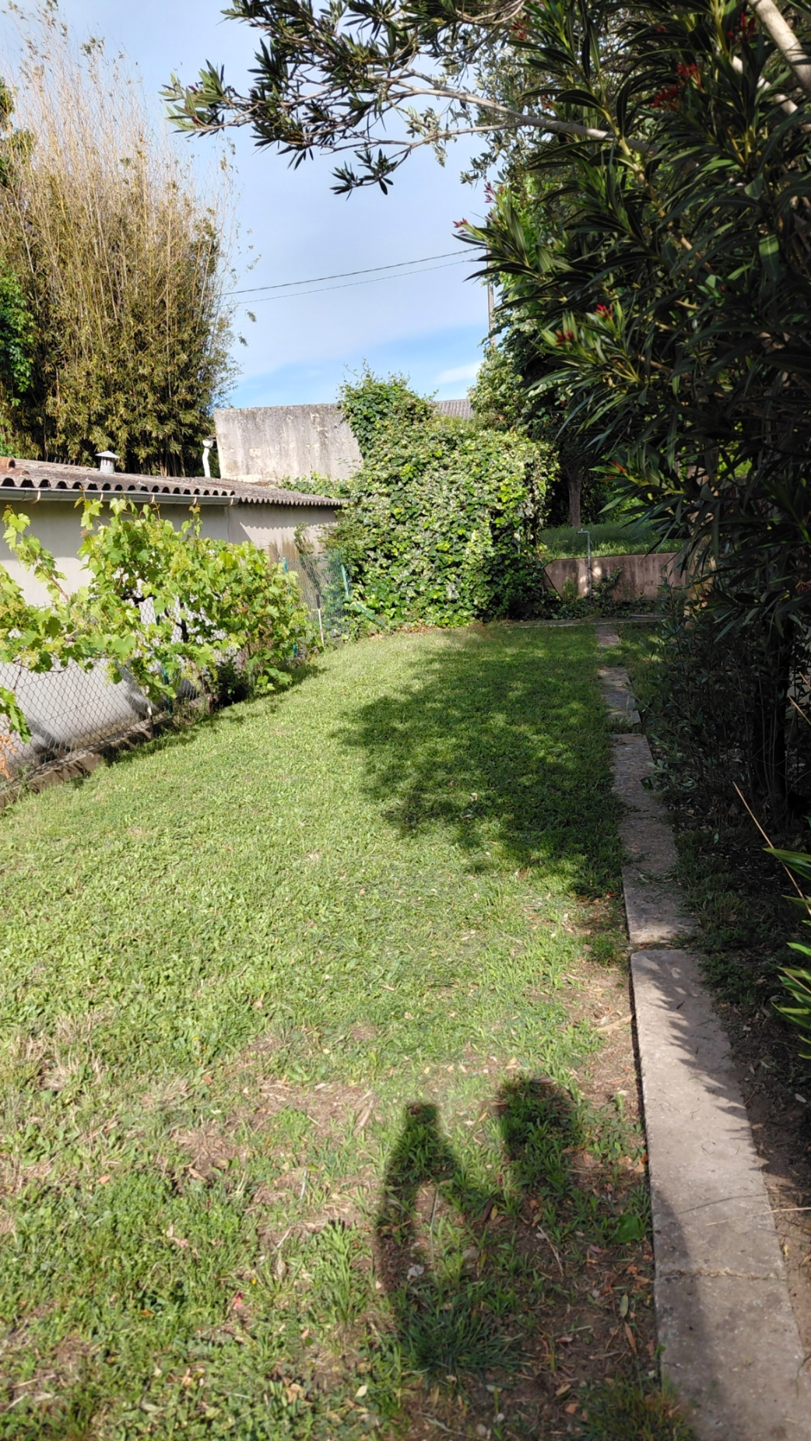 Image_, Maison, Pierrelatte, ref :581