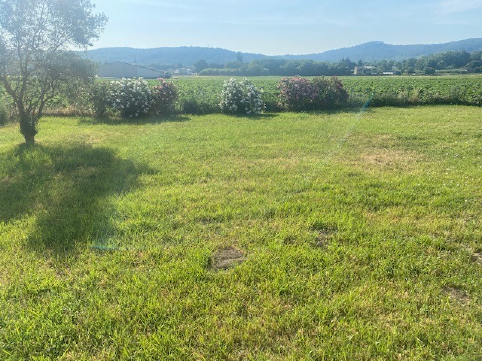 Image_, Bastide, Bollène, ref :0397