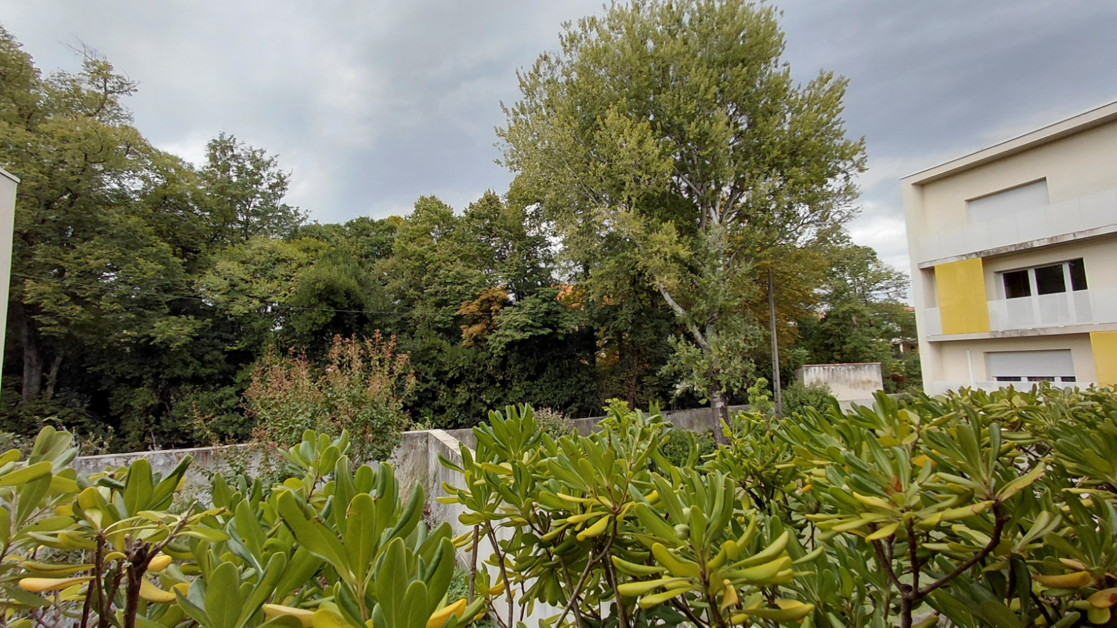 Image_, Appartement, Montélimar, ref :540