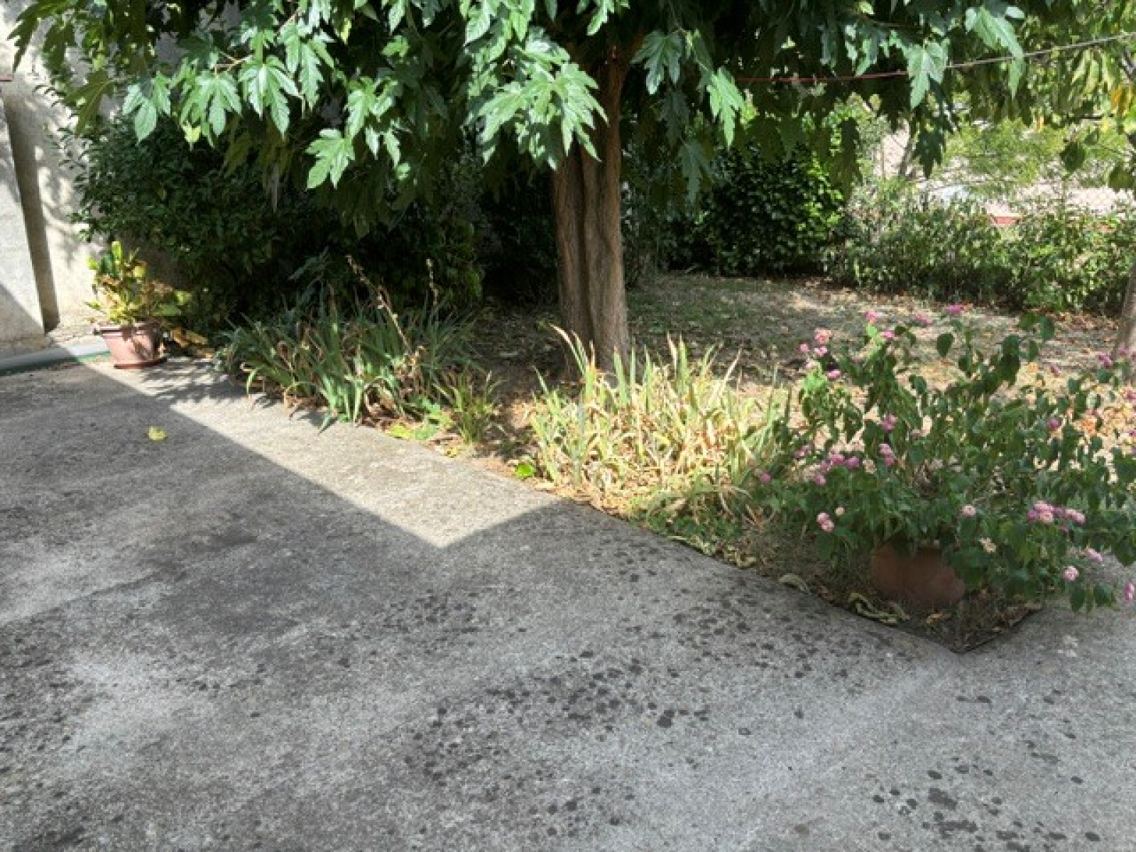 Image_, Villa, Pierrelatte, ref :0320