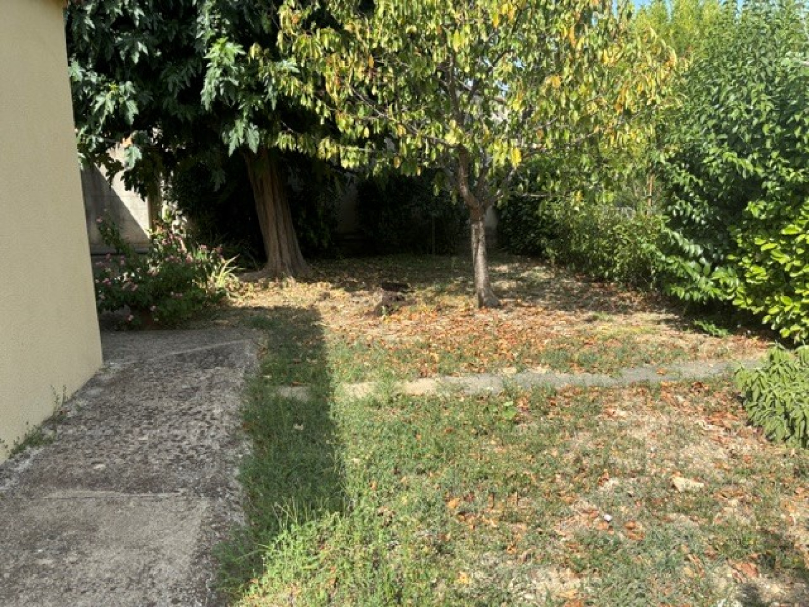 Image_, Villa, Pierrelatte, ref :0320